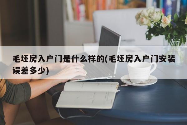 毛坯房入户门是什么样的(毛坯房入户门安装误差多少)