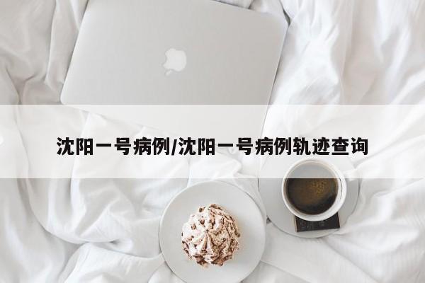 沈阳一号病例/沈阳一号病例轨迹查询